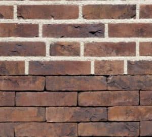 Autumn bruin waalformaat handvorm