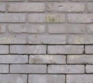 Akita grijs waalformaathandvorm