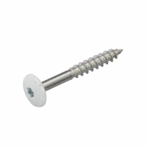 Kleurkopschroef (trespa) RAL 9010 RVS 4.8x38mm