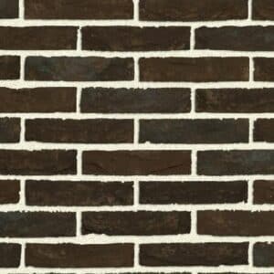 Cassis bruin waalformaat handvorm