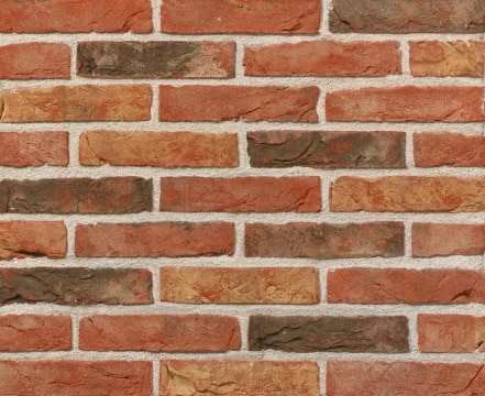 Olm rood waalformaat handvorm