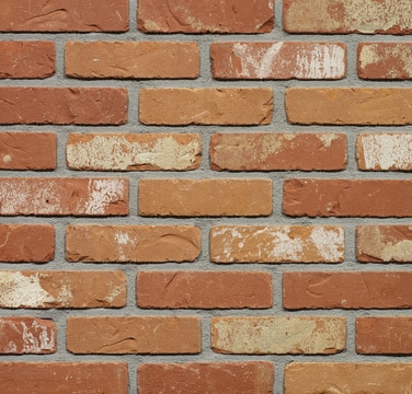 Molenlandse oranje rijnformaat strengpers