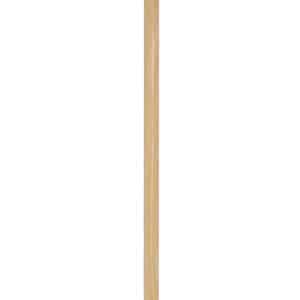 Gemeentebezem – Halfrond – Natuurvezel – 45 cm